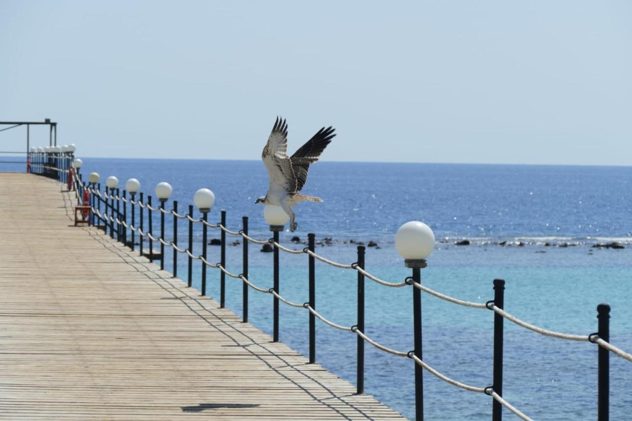 Wadi Lahmy Azur Resort - Soft All-Inclusive Abu Ghusun Luaran gambar